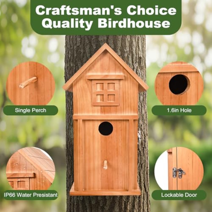 Bird House with Camera Solar P - Outdoor Power House ulasan dan harga